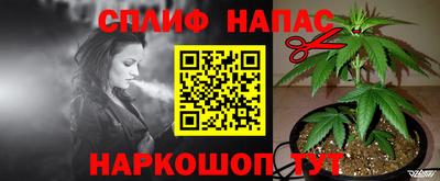 гашик Пыть-Ях
