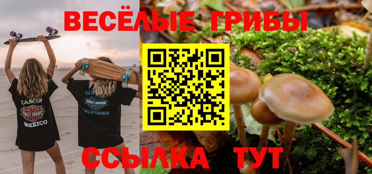 Псилоцибиновые грибы Psilocybine cubensis  Вход с VPN  Южноуральск 